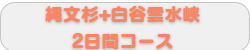 縄文杉+白谷雲水峡2日間コース