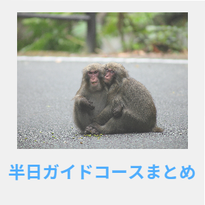 半日ガイドコースまとめ