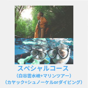 スペシャルコース 白谷雲水峡+マリンツアー