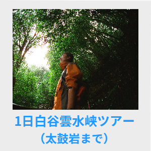 1日白谷雲水峡ツアー