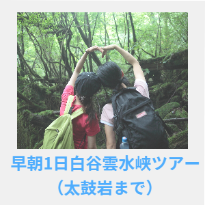 早朝1日白谷雲水峡ツアー
