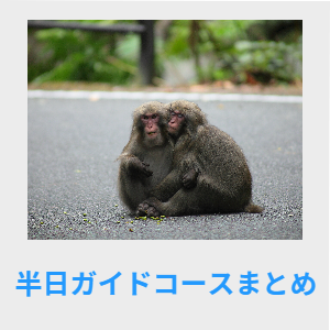 半日ガイドコースまとめ