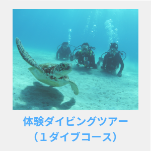 体験ダイビングツアー