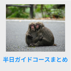 半日ガイドコースまとめ