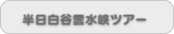 半日白谷雲水峡ツアー