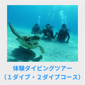 体験ダイビングツアー