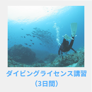 ダイビングライセンス講習