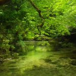 淀川で贅沢時間☆