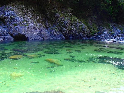 屋久島の綺麗な川で Yakushima Tour Blog