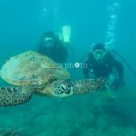人生初のダイビング🐠
