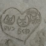 誰もいない安房川でSUPを♪