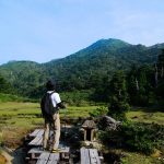 夏色の宮之浦岳