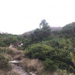 奥岳の黒味