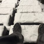 雪の縄文杉と苔の森へ