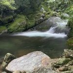 縄文杉はいけなかったけれど