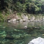 綺麗な安房川で心地好く。