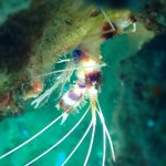 海の生き物に癒やされて❤