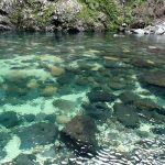 山も川も綺麗。