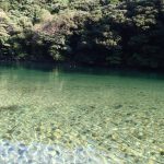 綺麗な川、まったりと。