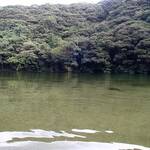 川でのんびり癒しを。