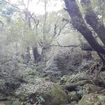 森と川の贅沢コース