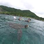 ウミガメとの写真の撮り方が斬新^^