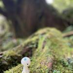 リカバリーの森