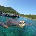 親子deウミガメシュノーケルday～♪