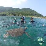 水面貸切状態でウミガメシュノーケル